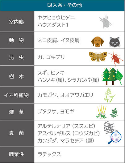 吸入系 その他アレルゲン：室内の塵（ヤケヒョウヒダニ、ハウスダスト）、動物（ネコ、イヌ）、昆虫（ガ、ゴキブリ）、樹木（スギ、ヒノキ、ハンノキ、シラカンバ）、草（カモガヤ、ブタクサ、ヨモギ）、カビ（アルテルナリア、アスペルギルス）、カンジダ、マラセチア、ラテックス